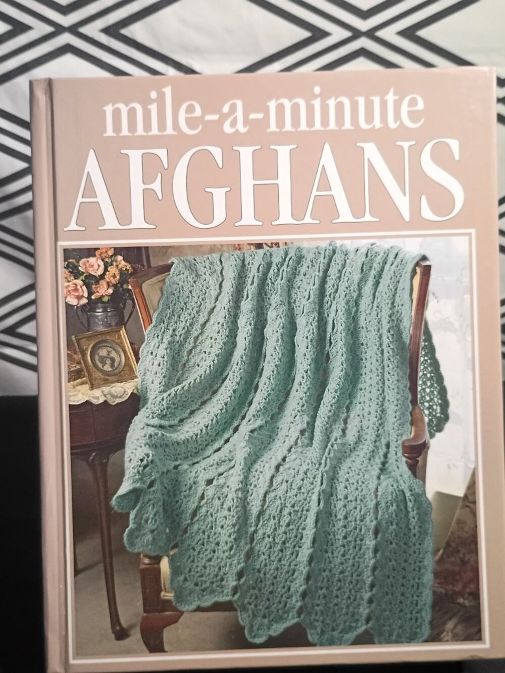 mile a minute afghans from leisure arts & oxmoor house crochet book